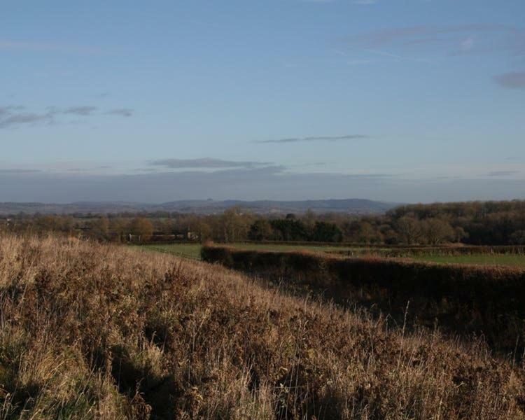 Cherry Orchard Farm South Wraxall Exteriör bild